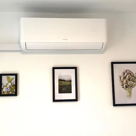 Lillybeth Garden ゲストハウス